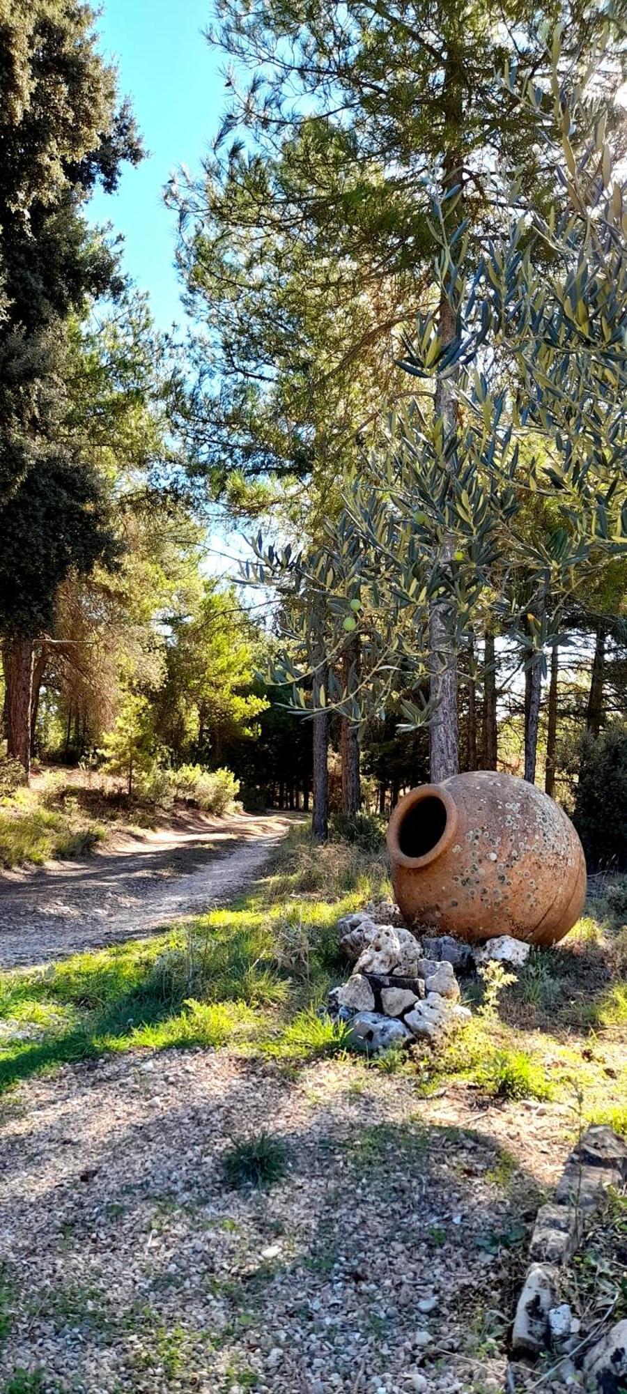 Villa Sanz Cuenca  Buitenkant foto